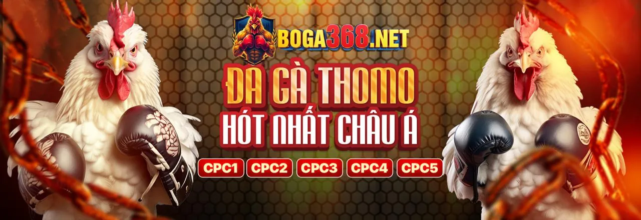 Giao diện ứng dụng di động VND88 nhà cái